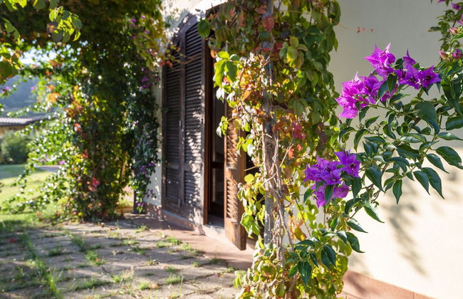 Agriturismo Terre di Castiglione - Foto 55