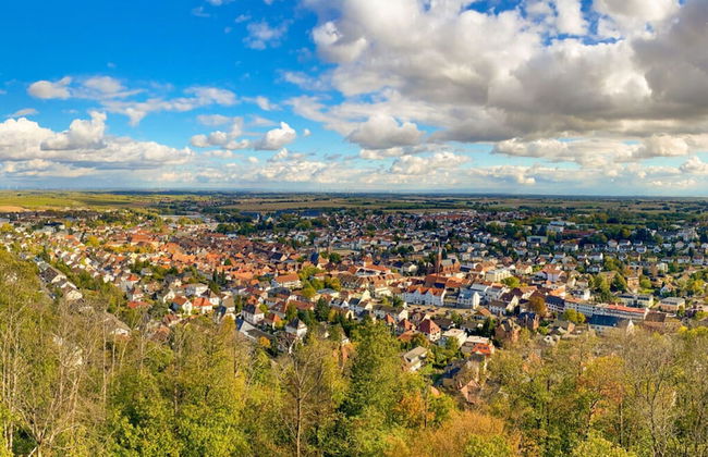 Holiday Apartment Faller-greiner - Photo 17