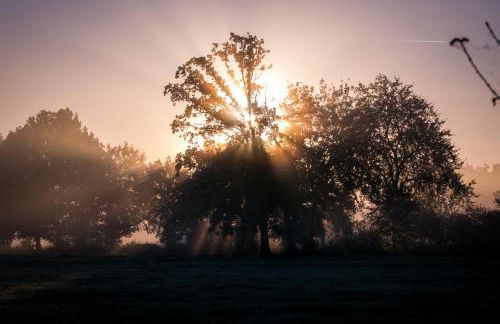 MCDreyer Ferienwohnung - Foto 46