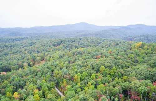 Jewel of the Woods - Foto 47