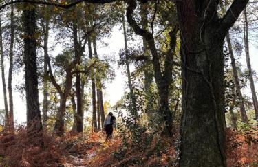 Grand duplex 2 chambres au calme-ocean-lac-nature - Foto 7