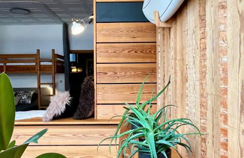 SURFKAJÜTE - Ferienwohnung in Warnemünde - Foto 5