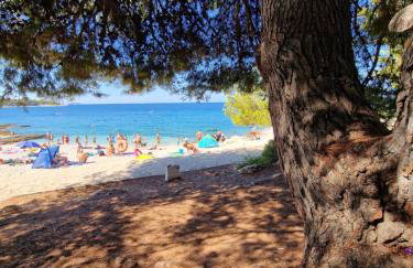 Apartman Kristina - Photo 66