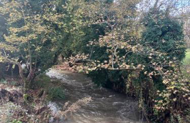 Village perfume - Photo 50