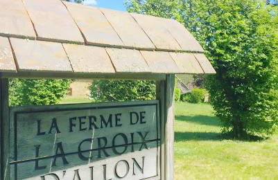 Gite Lucie Ferme La Croix d'Allon - Foto 10