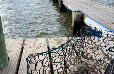 Suelen Bay House - Foto 53