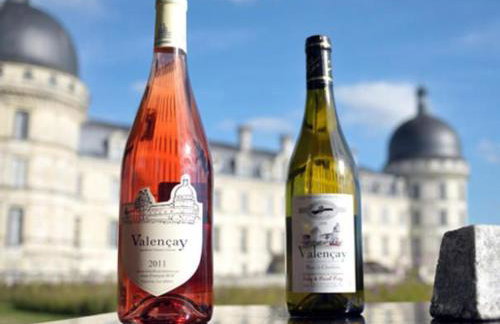 Gîte familial 12 pers. proche Valençay, ZooParc de Beauval et Châteaux de la Loire, parc arboré et jeux - FR-1-591-113 - Foto 10