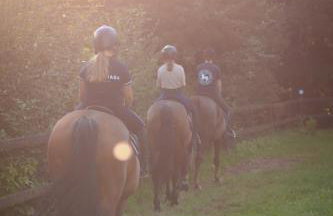 Agroturystyka Stajnia Rumak - Foto 5