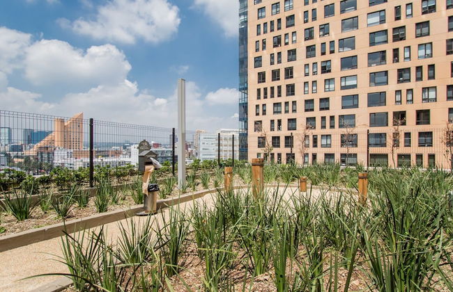 Polanco Luxury Condo - Foto 37