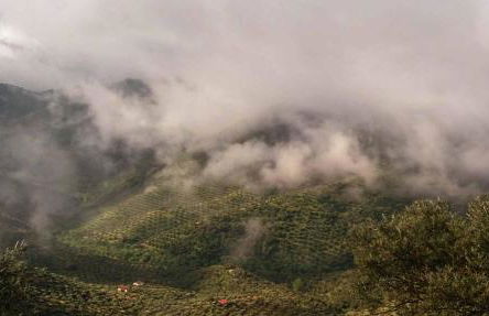 Cortijo "Era Grande 2" - Foto 47