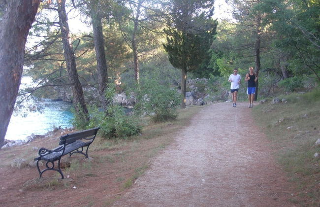 Apartment Blumen Oase - Foto 23