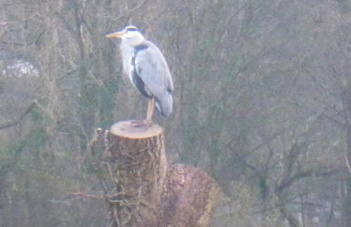 Samuel cottage - Photo 17