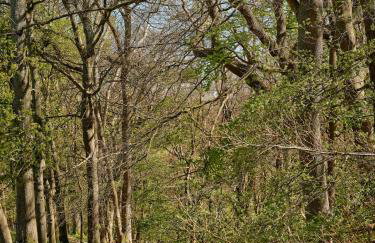 Charming 4-Bedroom Cottage in Henley - Foto 23