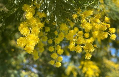 Les Hauts de Locmiquel apartment with private heated pool - Photo 31