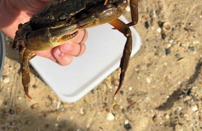 DaisyChain Getaways The perfect place to Stay Play and Getaway - Photo 37