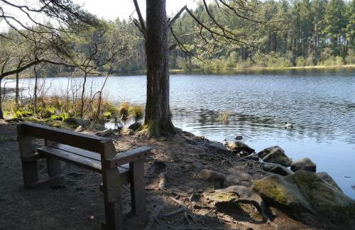 Springfield - Foto 24