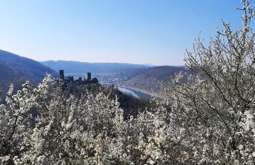 Alkener Elfenhaus mit kostenlosen Gäste Ticket - Foto 19