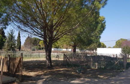 Domaine de L'Outarde Canepetiére Gîte A - Foto 10