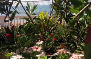 Villa Metis - Foto 25