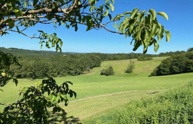 Estate in Dordogne Near Sites - Photo 32
