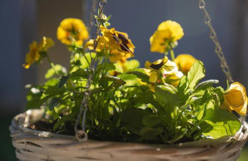 Studio Katerina - Foto 22