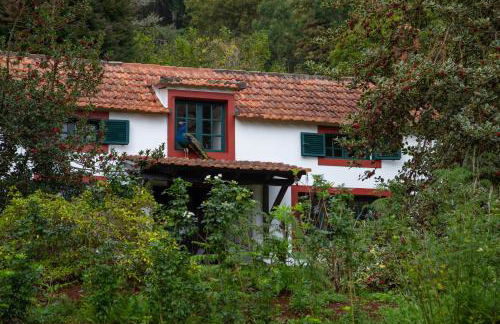 Valle Paraizo - Foto 17