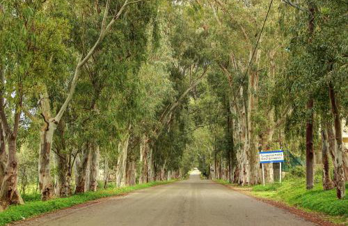 HESTIA frontyard Georgioupolis - Foto 31