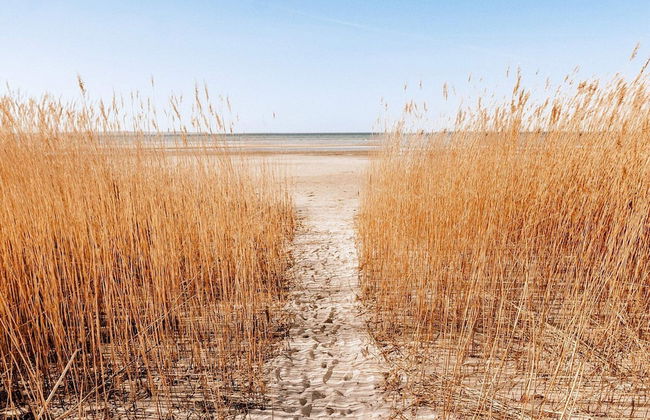 6 Personen Ferienhaus in Wendtorf - Foto 31