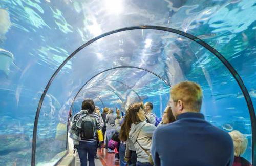 Independent Apartment At Villa Noelia Benalmádena With Private Pool, Garden & Parking - Foto 38