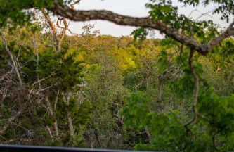 Treehouse Glamping at Pecan Haven W Hot Tub - Foto 43