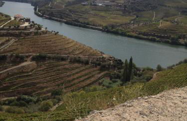 Studio Bibi - Foto 14