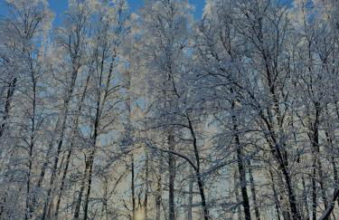 DWELL in Alaska "BIGGER" Unit o - Foto 27