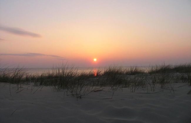 Holiday Home Egmond Near Beach - Foto 35