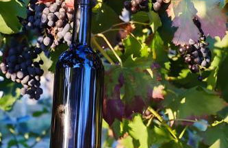 Luna D'Agerola - Foto 72