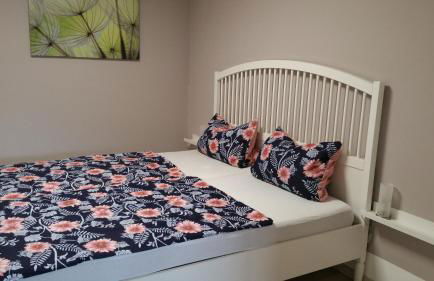 Appartement 2 Schlafzimmer, Terrasse, Hund, Kamin - Foto 6