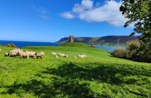 Molly's Cottage - Foto 59