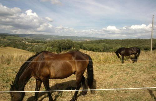 Palazzo Alle Mura - Foto 48