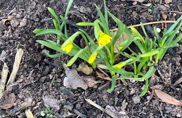 The Stables - Luxury Cottage - Foto 43