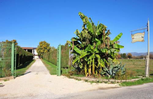 Agriturismo Corte Bonetti - Foto 13