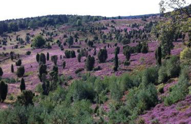 Garbers-Hof - Foto 76