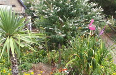 Ferienhaus Krähmer - Foto 6