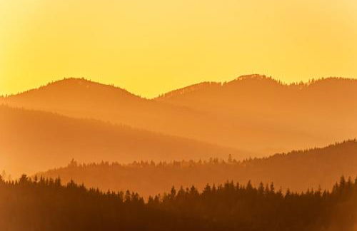 Fewo Turmblick - Foto 18