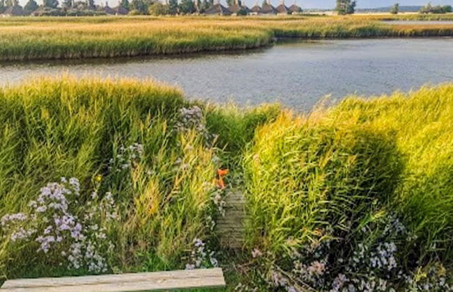 Holiday Home in KarrebÃ¦ksminde - Foto 19