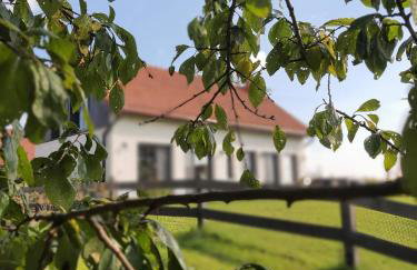 Cuda Wianki Mazury - Foto 55