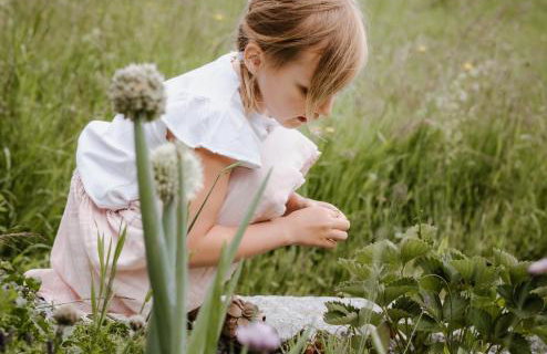 Tiny House 1 im schönen Allgäu mit großem Garten, Naturnah - Foto 18