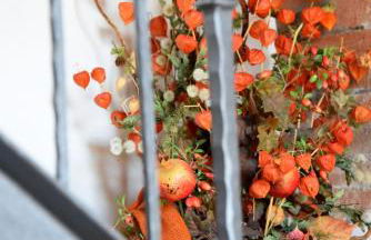 Podere il Granaio - Crete Senesi - Tuscany - Foto 19