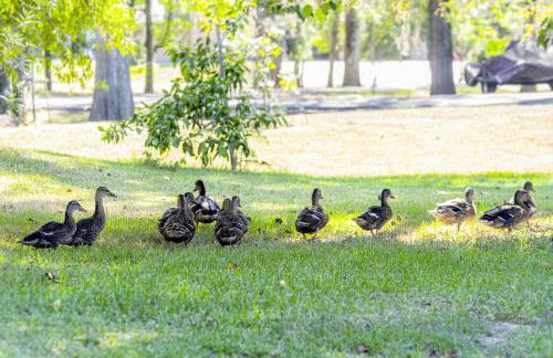 Bayou Breeze Retreat with Pool & River Access - Foto 23