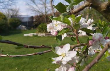 Portreeves - Foto 18