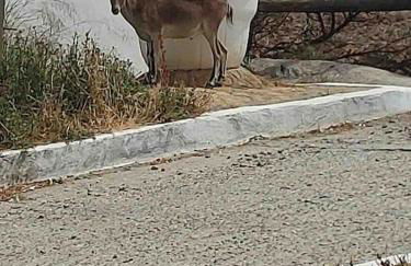 Luz de Mar - Foto 22