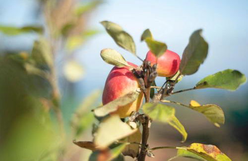 Jalón de Cameros - Foto 25